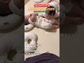 見ているだけで癒やされる赤ちゃんTOP5