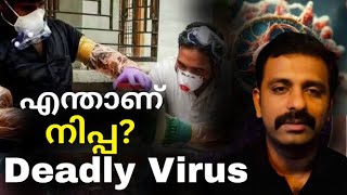 എന്ത്കൊണ്ട് നിപ വൈറസ് അപകടകാരിയാകുന്നു? Nipah Virus || Bright Keralite