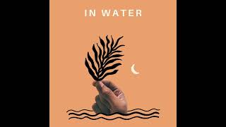 Bay Ledges - In Water