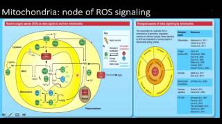 Reactive oxygen species (ros): signaling and oxidative stress