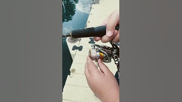 How to cast a fishing rod (ft. DEMARCOTHEGAMER)