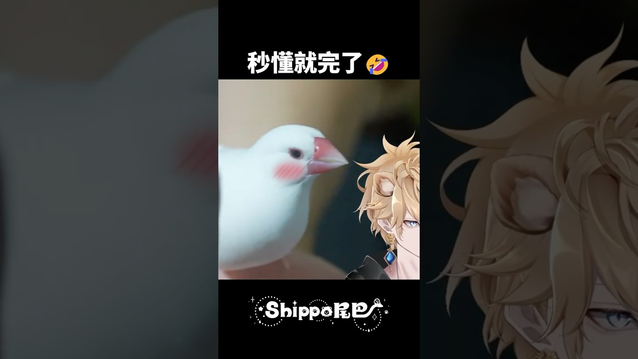 秒懂就完了...年上的戒指就是水位線??? #shippo尾巴 #台v #寵物 縮圖