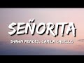 Shawn Mendes Camila Cabello Señorita Lyrics