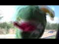 It's The Muppets (2007) Theme song (Remastered)