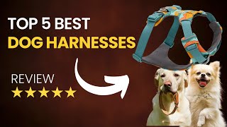 Top 5 Best Dog Harness 2025