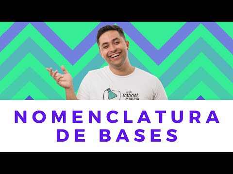 Vídeo: Como Nomear Um Bassê