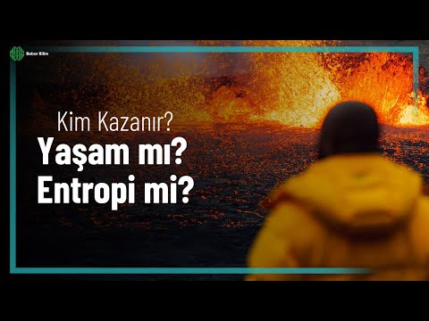 KİM KAZANIR: Yaşam mı Entropi mi?