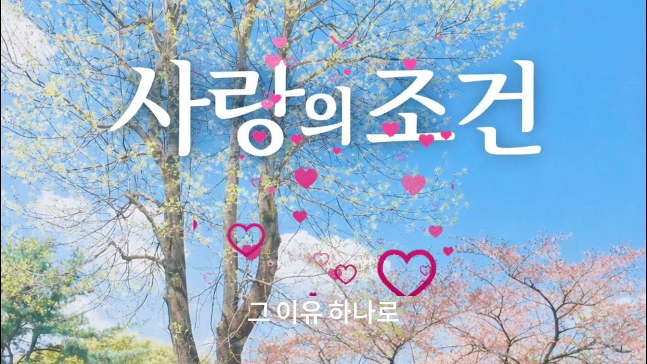 사랑의 조건 – 평생을 함께한 당신에게 부르는 노래 | The Conditions of Love (Emotional Korean Ballad)