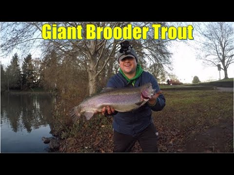 TROUT FISHING at St.Louis Ponds!!! The COMPLETE Guide to TACKLES,  LOCATIONS, and TECHNIQUES 