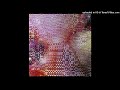 jackzebra + fern shy + ambient type beat
