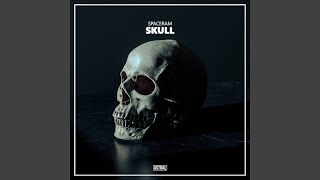 Skull - Spaceram