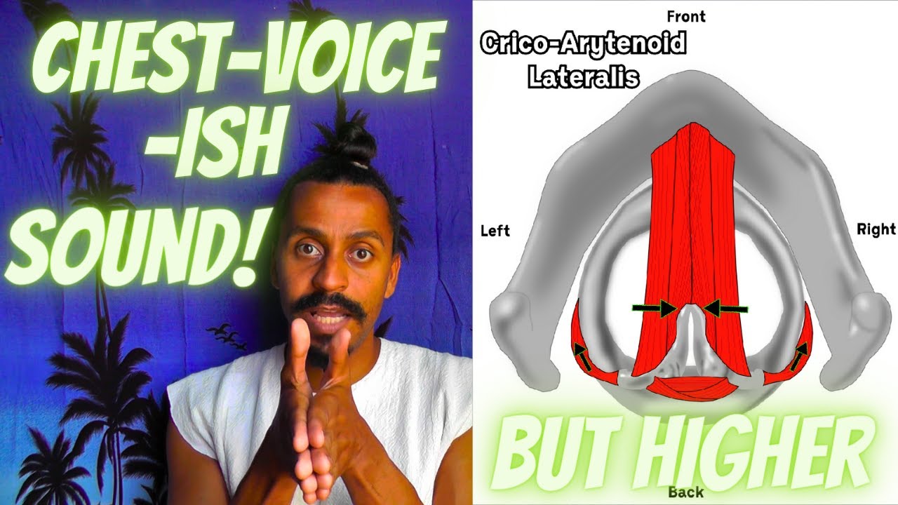 The CricoArytenoid Lateralis Sound: Beyond Chest Voice  – Anatomical Vocal Training (64)
