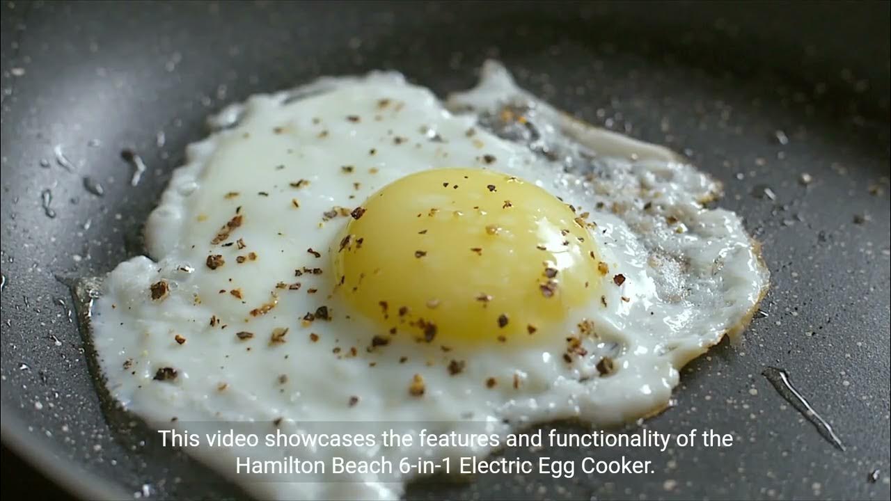 Hamilton Beach 6 in 1 Electric Egg Cooker YouTube
