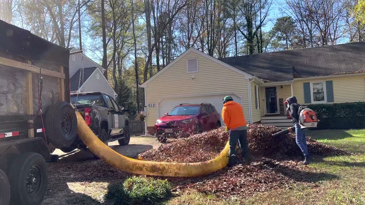 Leaf Vacuum sucking up leaves | Satisfying CleanUp