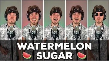 Harry Styles - Watermelon Sugar | A Cappella Cover