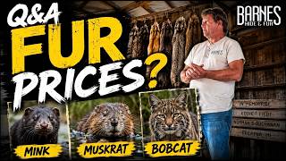 2026 Fur Prices Q A What s Happening in the Fur Market