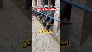 Sajid Farming Hub Farming