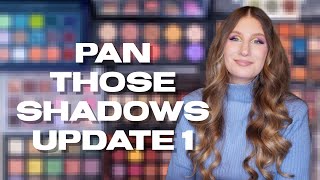 Pan Those Eyeshadows ✨ Update 1 ✨ | sofiealexandrahearts
