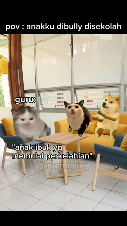 ingat guys!!! NO bullying #meme #memekucing #kucing #kucinglucu #shorts #catlover