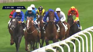 Vidéo de la course PMU PRIX QUINCEY BARRIERE