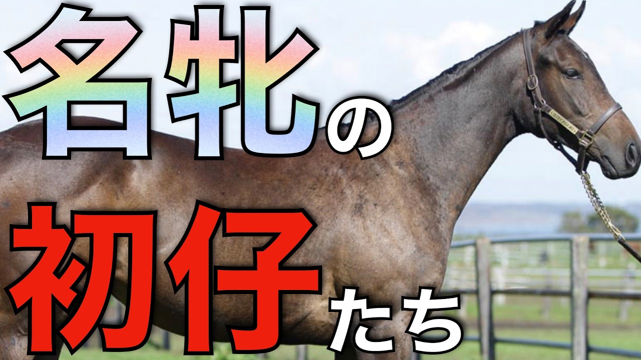 今年も名牝たちの初仔がついにデビュー！母同様に大舞台で輝けるか。