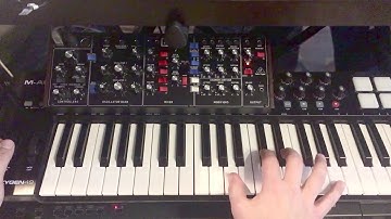 Behringer Model D - Camel - Ice - Minimoog solo
