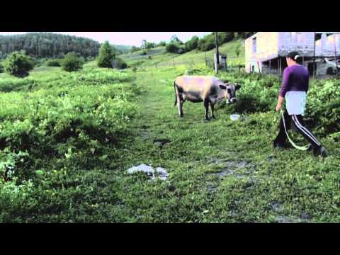 დაფარვის ზონის მიღმა Hors zone