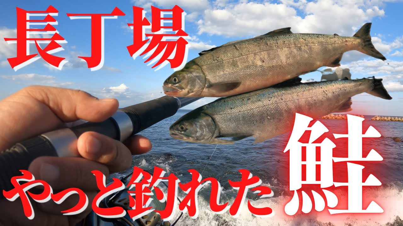 道 南 釣り 情報