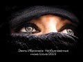 Эмиль Ибрагимов - Необыкновенные глаза cover 2023 Ялла Необыкновенные глаза (cover)