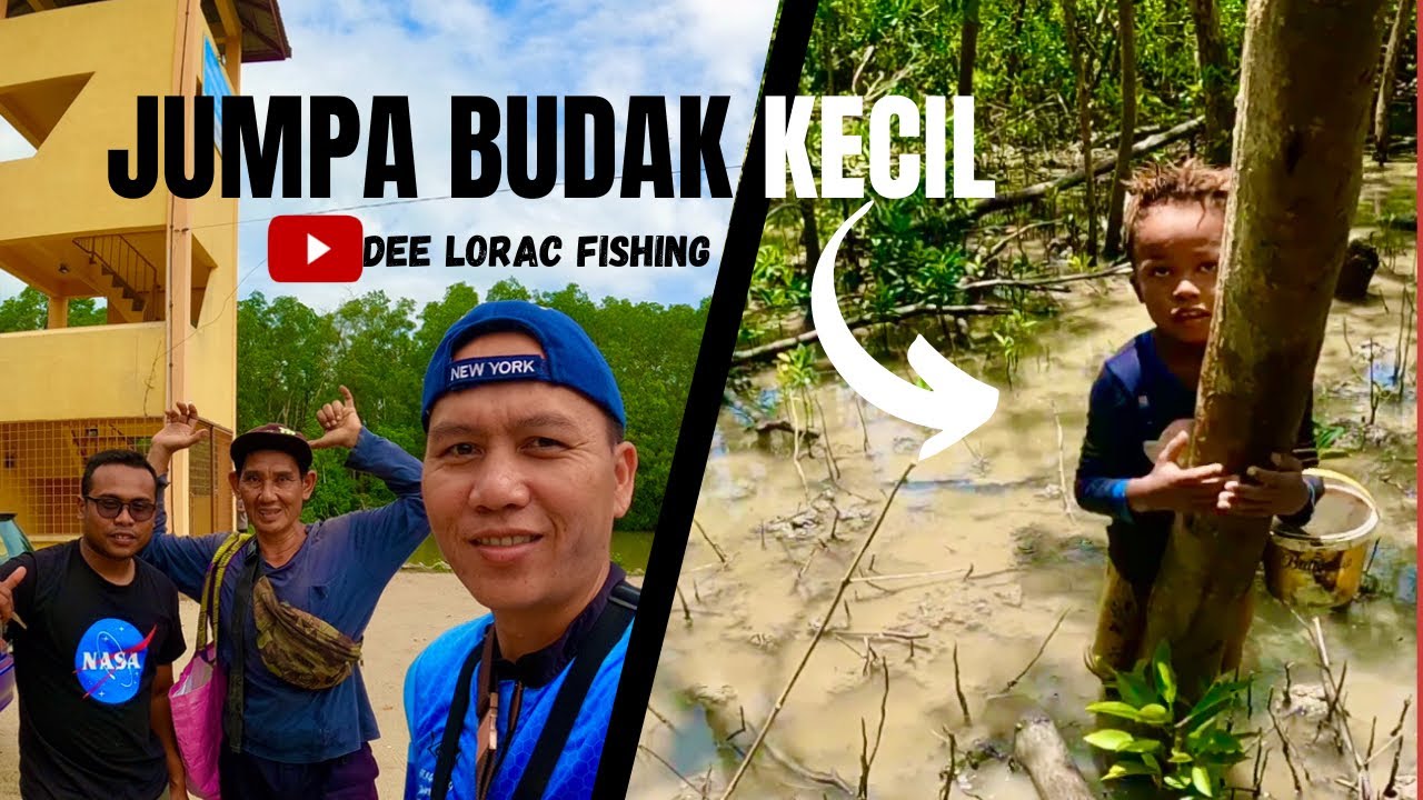P47 Cari siput jumpa budak kecil di hutan paya bakau merlimau melaka