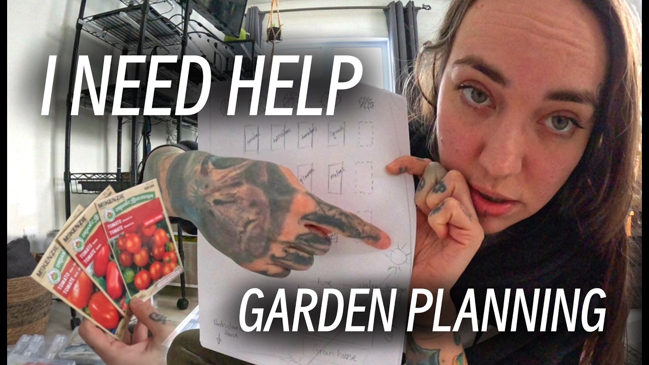 Чистый холст — с чего мне начать?