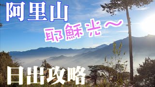 阿里山日出攻略｜小火車上山，祝山觀日步道下山｜沼平公園 ... 