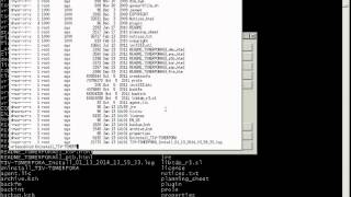 Uninstalling TDP SAP V6.3 from UNIX and Linux Operating Systems
