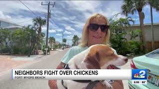 2 arrested after brawl erupts on Fort Myers Beach over roaming chickens