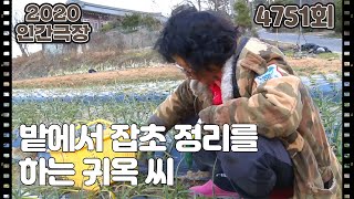 [봄처녀와 옥구슬] (12/15) [인간극장] 20200220