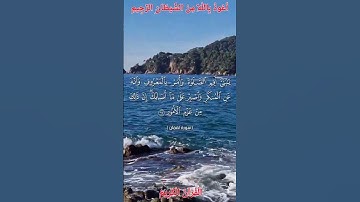 🌿القرآن الكريم 🌿ما تيسر من سورة لقمان •