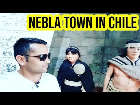 How to look Niebla a coastal Chilean town close to the city Valdivia