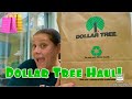 Large dollar tree haul  lets hang out may 5 2024
