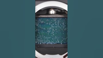 Your Camera Sensor DOES NOT Have Fungus | Preventing Glass Corrosion #filmmaking
