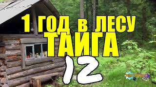 ДИКИЙ УРМАН | РОСОМАХА СЪЕЛА ВСЕ ЗАПАСЫ | РОЖОН | МЕДВЕДЬ ШАТУН НАПАДЕНИЕ | КАША ИЗ КОРЫ 12 из 14 ДИКИЙ УРМАН | РОСОМАХА СЪЕЛА ВСЕ ЗАПАСЫ | РОЖОН | МЕДВЕДЬ ШАТУН НАПАДЕНИЕ | КАША ИЗ КОРЫ 12 из 14