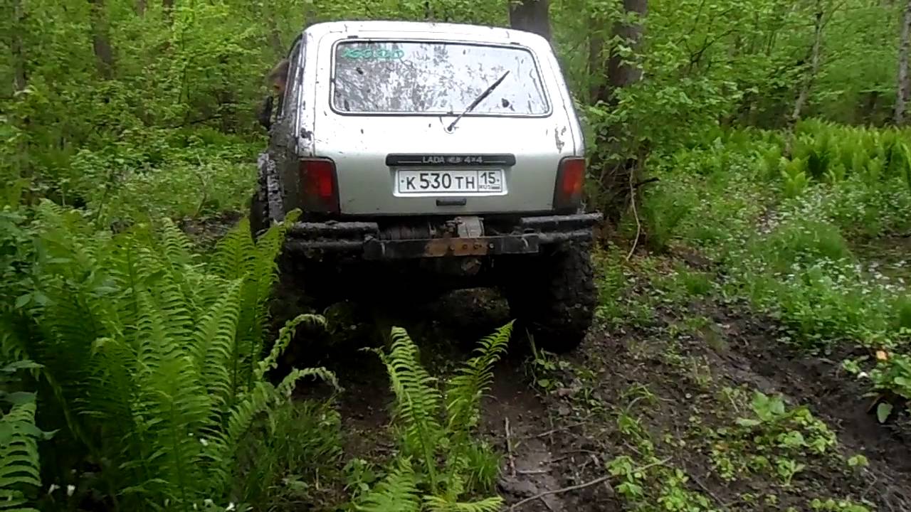 Голая на ниве