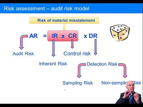 what is audit risk model