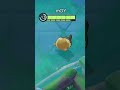 MORPEKO FINAL STRETCH MOMENT (YEAH BOII 2x)