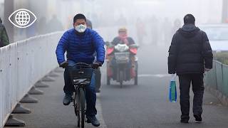 Download Lagu Chine en danger : la désertification gagne du terrain à une vitesse alarmante - Documentaire AMP MP3