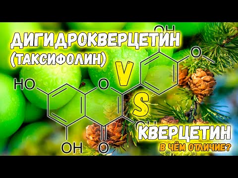 Дигидрокверцетин (таксифолин) лучше кверцетина? 🌲 Самые свежие научные факты от врача