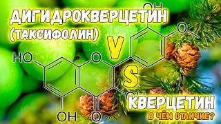 Дигидрокверцетин (таксифолин) лучше кверцетина? 🌲 Самые свежие научные факты от врача