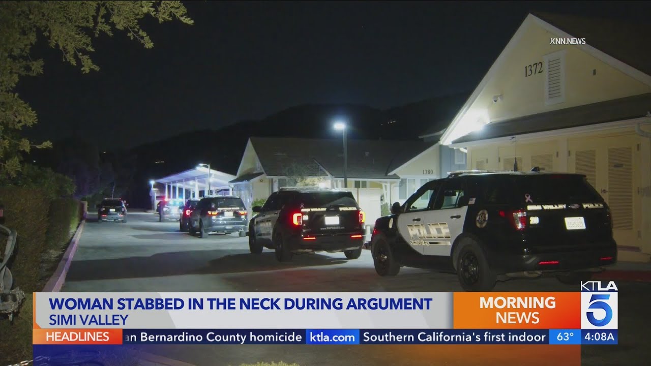 Woman stabbed in neck during argument