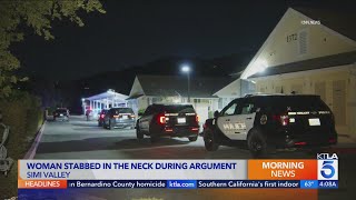 Woman stabbed in neck during argument