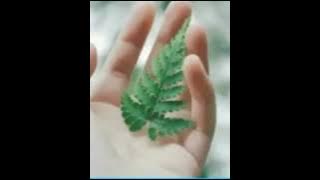 Kata-kata bikin baper tik tok #2