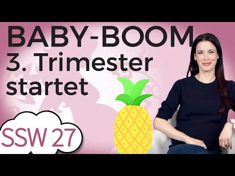 Ssw 27: Start Ins 3. Trimester! Schwangerschaft Fast Geschafft! | Mein Kinderwunsch